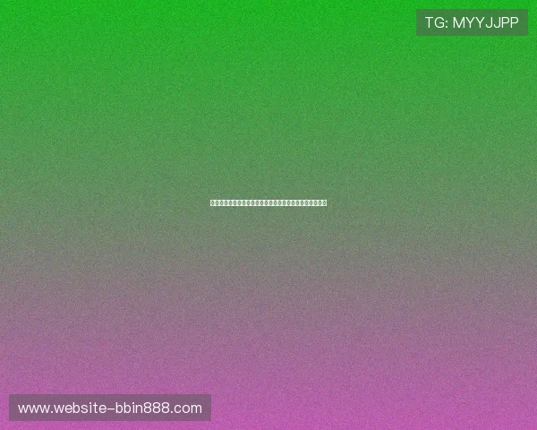 世界杯厄瓜多尔德国比赛现场氛围与球迷观赛指南详细介绍